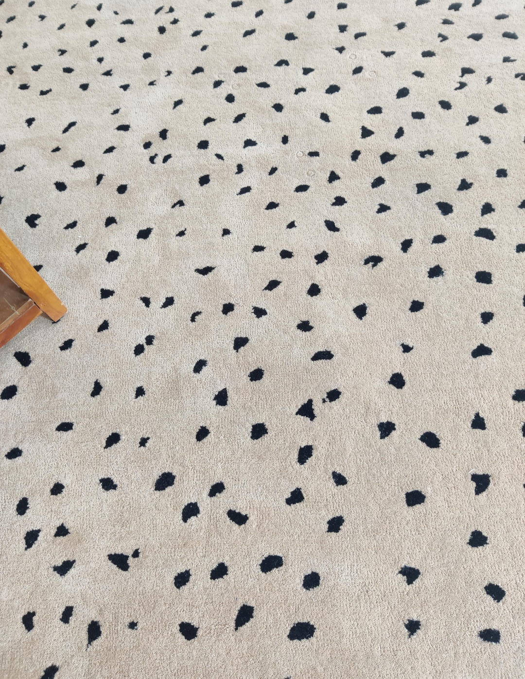Beige Dalmatian Print Rug with Black Spots | Modern Handmade Wool Carpet for Living Room, Bedroom & Home Décor