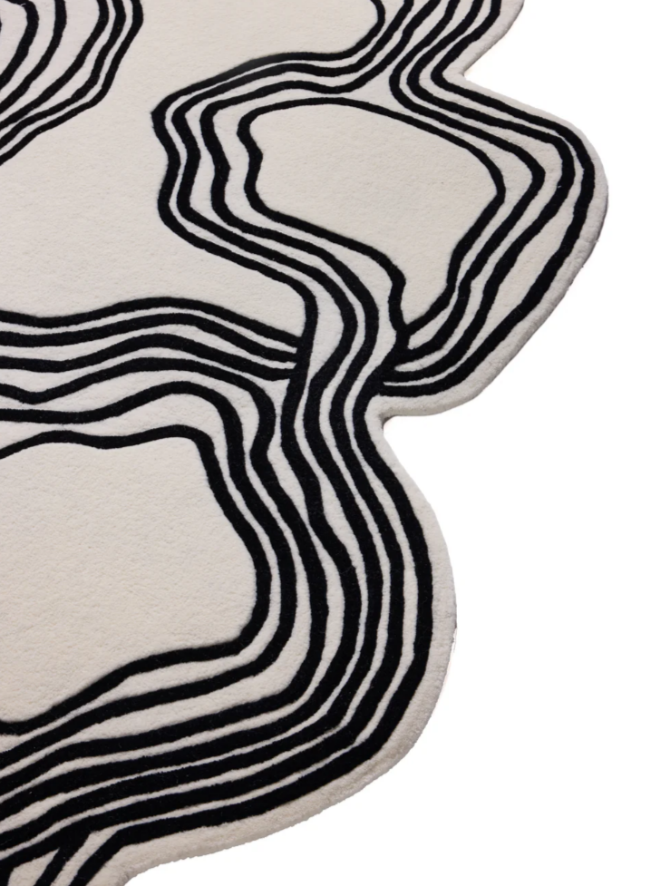 Abstract Black and White Modern Area Rug – Contemporary Artistic Carpet for Living Room, Bedroom & Studio Décor