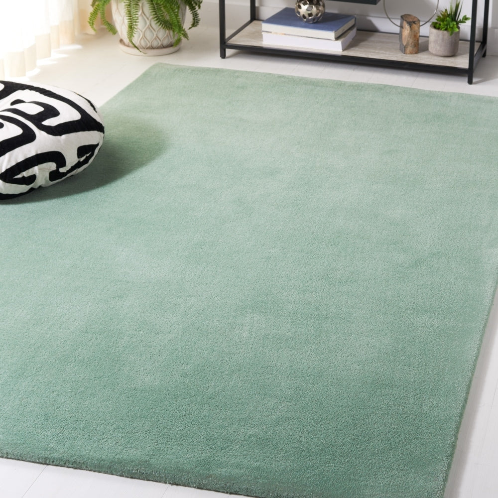 Soft Mint Green Modern Area Rug – Plush Minimalist Carpet for Living Room, Bedroom & Home Décor
