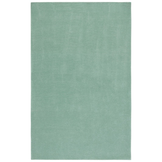 Soft Mint Green Modern Area Rug – Plush Minimalist Carpet for Living Room, Bedroom & Home Décor