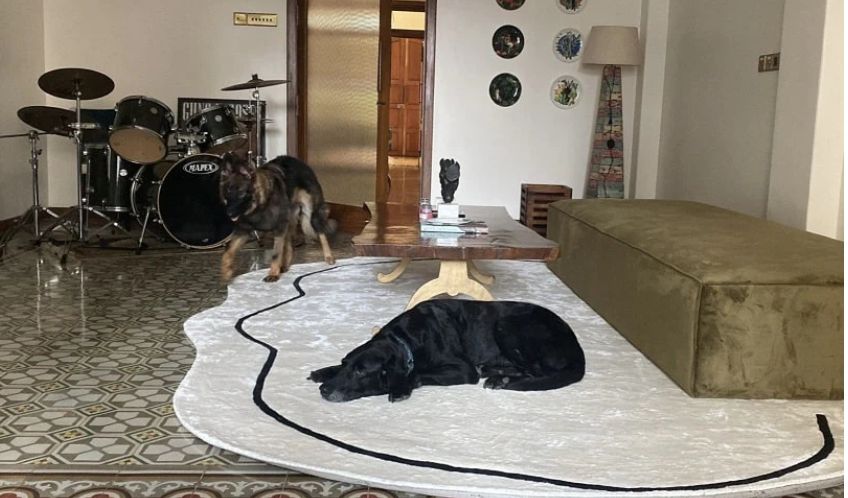 Large Organic Shape Cream Rug – Hand-Tufted Abstract Area Carpet with Black Line Art for Modern Minimalist Home Decor