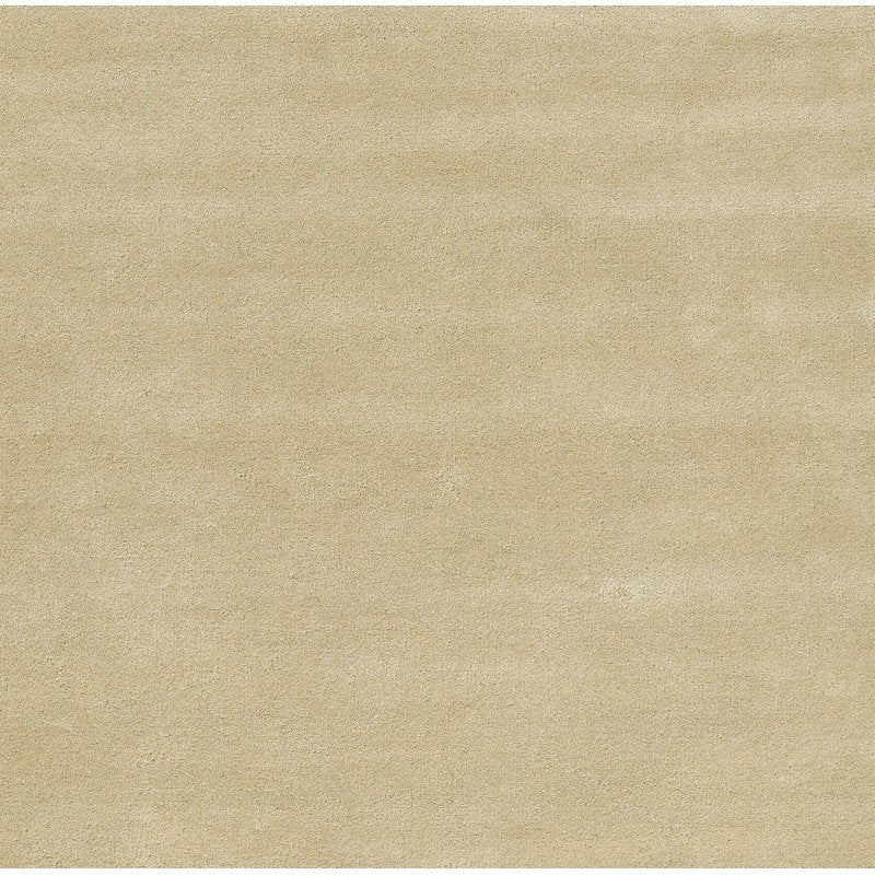 Beige Minimalist Area Rug with Cream Border – Modern Hand-Tufted Carpet for Living Room, Bedroom & Office Décor