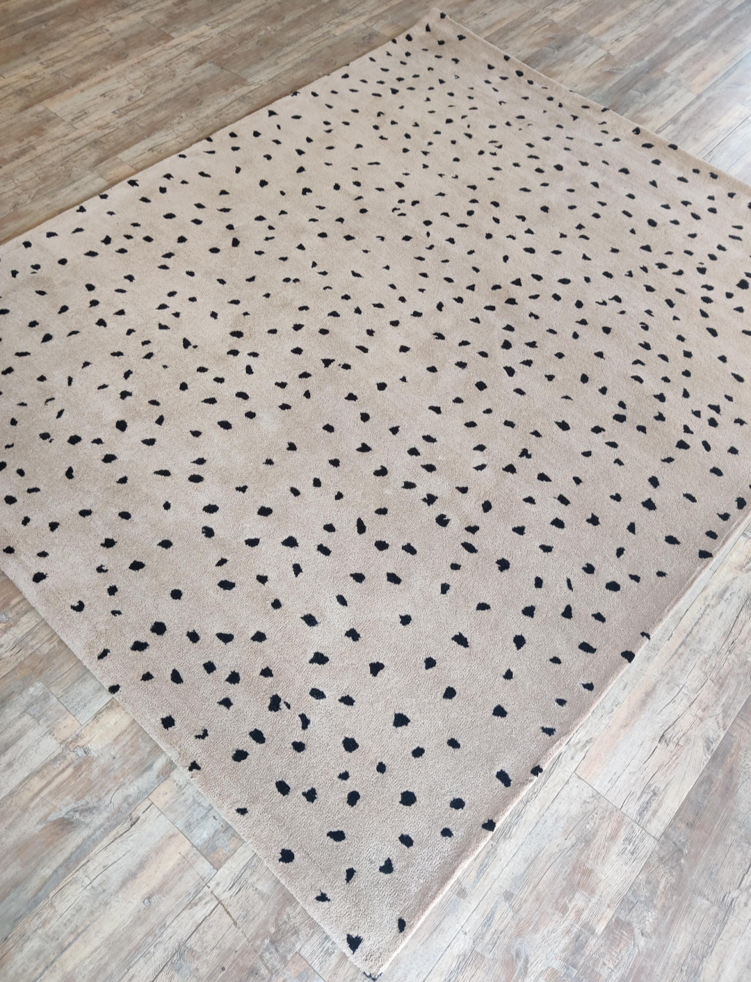 Beige Dalmatian Print Rug with Black Spots | Modern Handmade Wool Carpet for Living Room, Bedroom & Home Décor